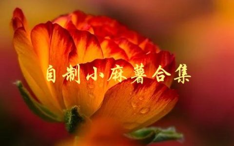 自制小麻薯合集(如何在家轻松制作美味小麻薯)