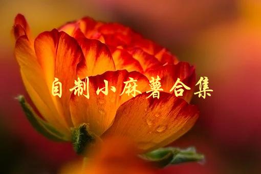 自制小麻薯合集(如何在家轻松制作美味小麻薯)-1
