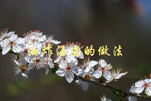 油炸汤圆的做法(如何制作酥脆口感的汤圆)-1