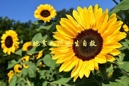 地震如何逃生自救，应该注意哪些事项-1