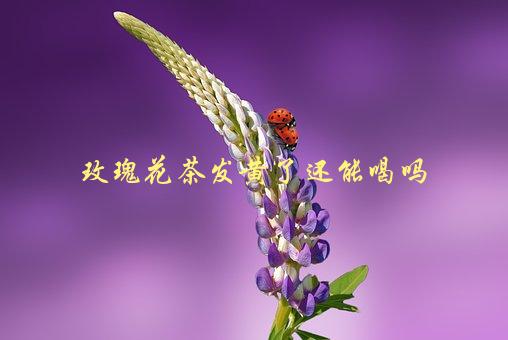 玫瑰花茶发黄了还能喝吗，如何判断是否过期-1