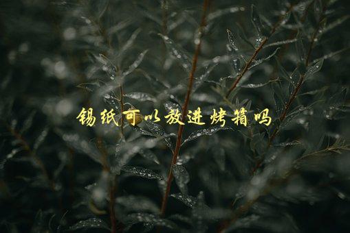 锡纸可以放进烤箱吗，使用锡纸烤食品是否安全-1