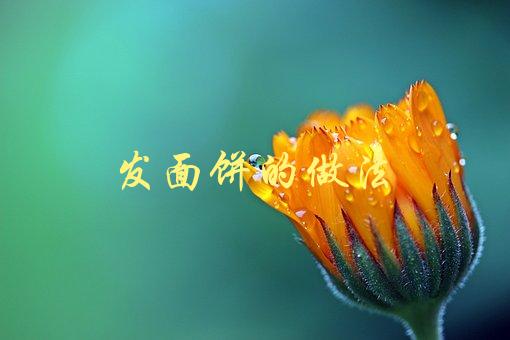 发面饼的做法(如何做出口感松软的发面饼)-1