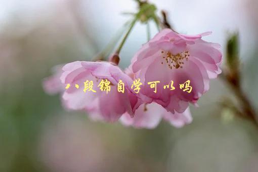 八段锦自学可以吗？，如何正确学习八段锦-1