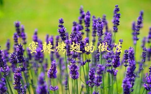 蜜辣烤翅的做法(怎样才能做出口感鲜美的烤翅？)