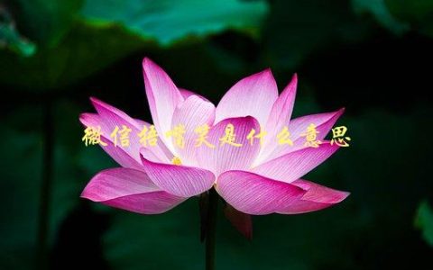 微信捂嘴笑是什么意思，解读微信表情的含义
