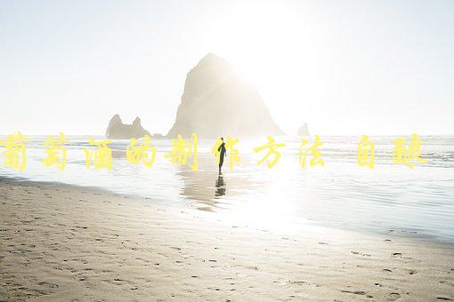 葡萄酒的制作方法自酿(新手必知的步骤和技巧)-1