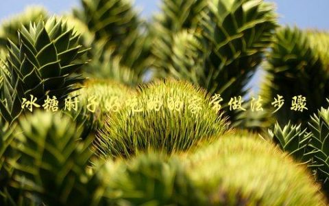 冰糖肘子好吃的的家常做法步骤，怎样做才能让肉质鲜嫩多汁？