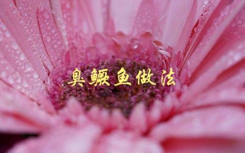 臭鳜鱼做法(如何让它变得美味可口)