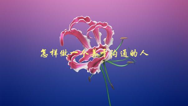 怎样做一个善于沟通的人，五个简单技巧-1