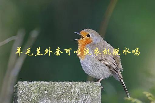 羊毛羔外套可以洗衣机脱水吗，正确的洗涤方式是什么-1