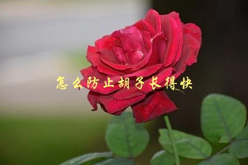 怎么防止胡子长得快，有哪些有效的方法可以试试-1