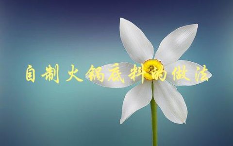 自制火锅底料的做法(如何制作口感更佳的火锅底料)