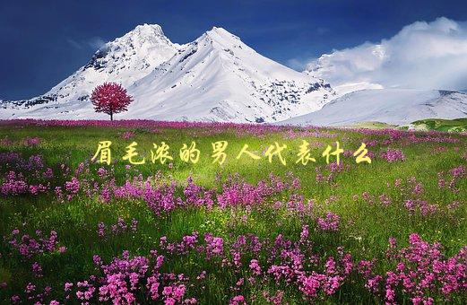 眉毛浓的男人代表什么，面相学解读-1
