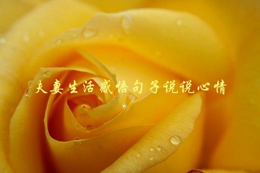 夫妻生活感悟句子说说心情，如何让生活更加美好-1