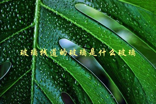 玻璃栈道的玻璃是什么玻璃，为什么如此坚固？-1