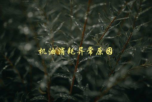 机油消耗异常原因，为什么会出现机油消耗过多的情况-1