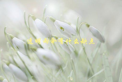 透明雨伞有什么缺点，不要再被这些问题困扰了-1