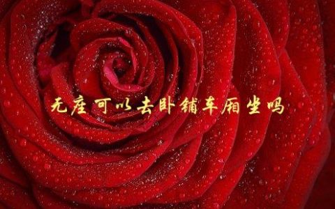 无座可以去卧铺车厢坐吗，旅途中的应急解决方案