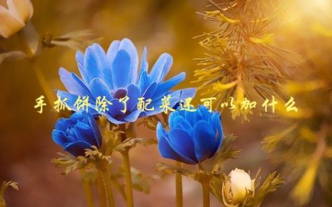 手抓饼除了配菜还可以加什么，有哪些创意口味推荐