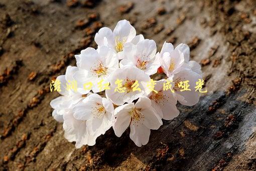 滋润口红怎么变成哑光，简单易学的变化技巧-1