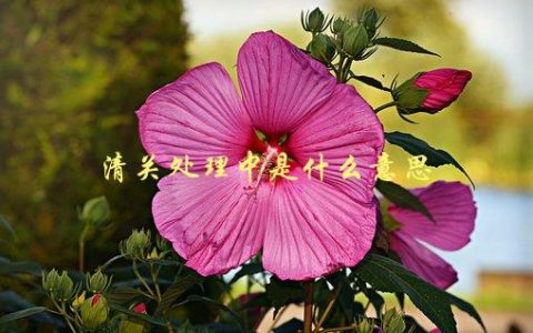 清关处理中是什么意思，详解进口商品清关流程