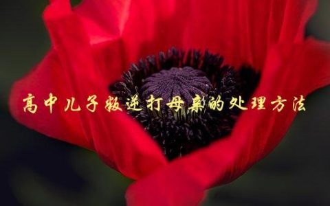 高中儿子叛逆打母亲的处理方法，该怎么做才能化解矛盾