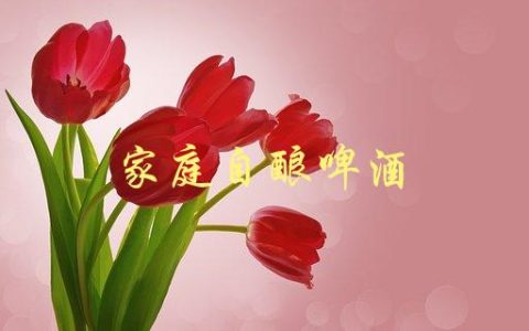 家庭自酿啤酒(如何入门并制作出美味的啤酒)