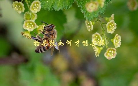 抬头纹如何才能去掉，有效的去除方法有哪些