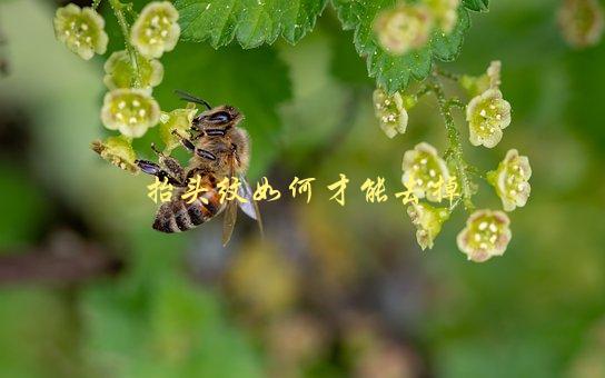 抬头纹如何才能去掉，有效的去除方法有哪些-1