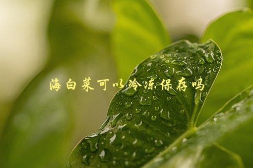 海白菜可以冷冻保存吗，正确的保存方法和注意事项是什么-1