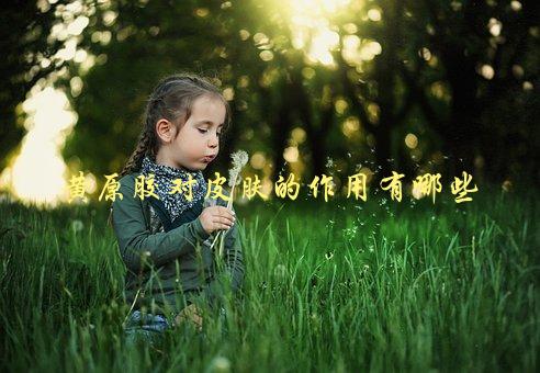 黄原胶对皮肤的作用有哪些，了解这些你就知道为什么它是护肤品的神器-1