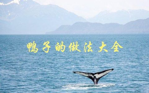 鸭子的做法大全(如何做出口感鲜美的鸭肉料理)
