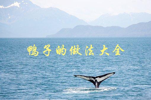 鸭子的做法大全(如何做出口感鲜美的鸭肉料理)-1