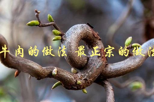 卤牛肉的做法(如何制作最正宗的口感)-1