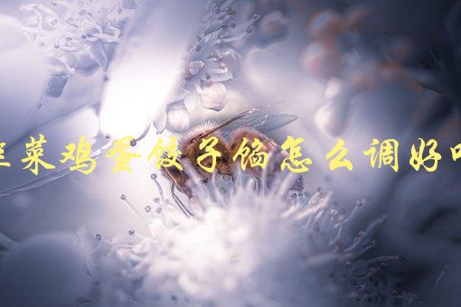 韭菜鸡蛋饺子馅怎么调好吃(有哪些调料搭配最佳)-1
