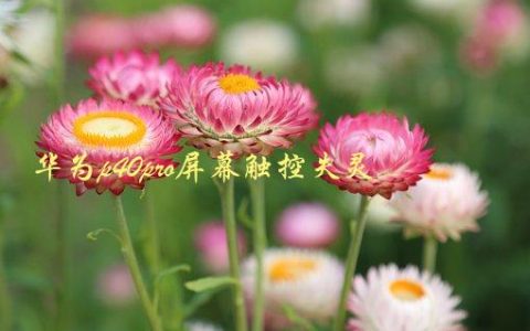 华为p40pro屏幕触控失灵，如何解决屏幕触控问题