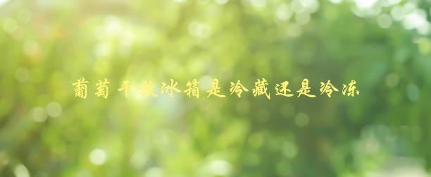 葡萄干放冰箱是冷藏还是冷冻，正确的保存方法是什么-1