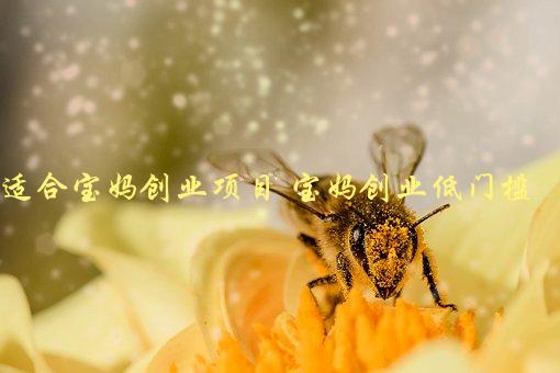 适合宝妈创业项目，哪些低门槛项目适合宝妈创业？-1