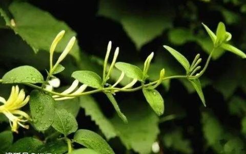 如何提高高考作文的成绩?9个热点主题的高考作文素材
