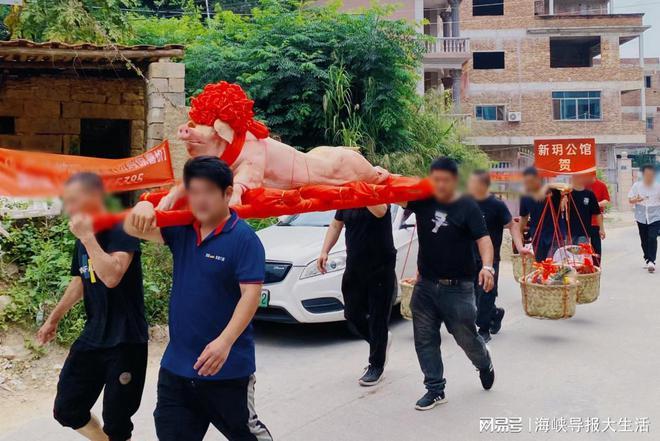 厦门“买房送猪”:开发商进村抢房票