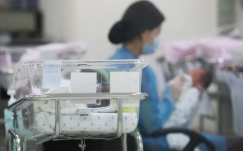 今年会有多少新生儿?全年新出生人口不足800万