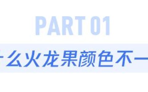 火龙果为什么有红的又白的?区别到底有多大？