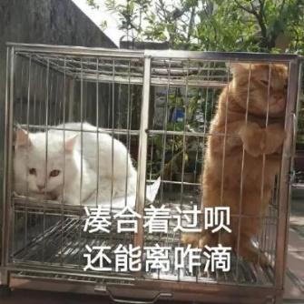 离婚对于子女的影响可能并没有那么简单……