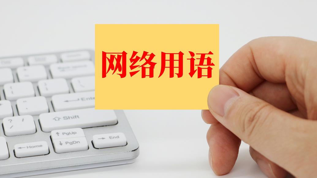 低俗化的网络语言会从网络空间渗透到现实生活中产生不良影响