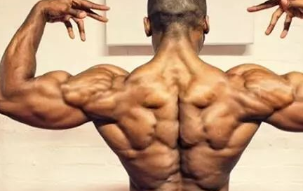 怎么训练背部肌肉:后背肌肉怎么练动作