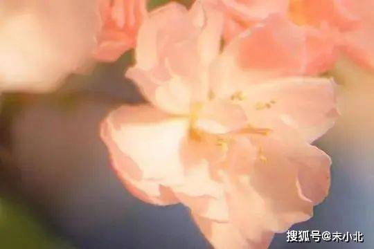 一个人是否是伪善之人,看以下三点就知道了
