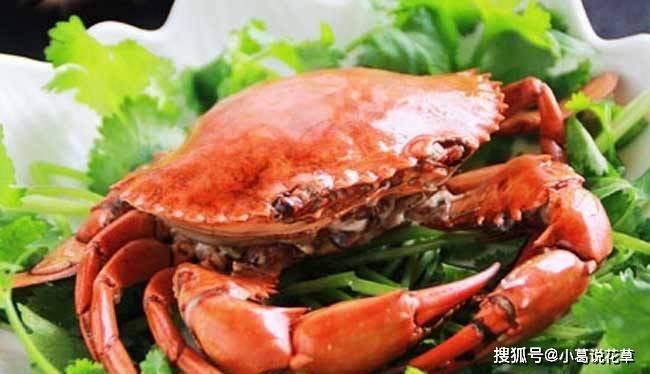 蒸螃蟹加一物:螃蟹肉质鲜嫩,不腥
