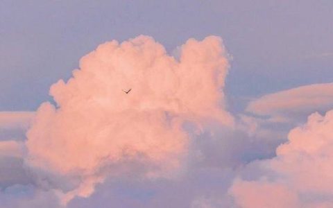 人生:回味无限的往事,和当下芳华留不住的坦然
