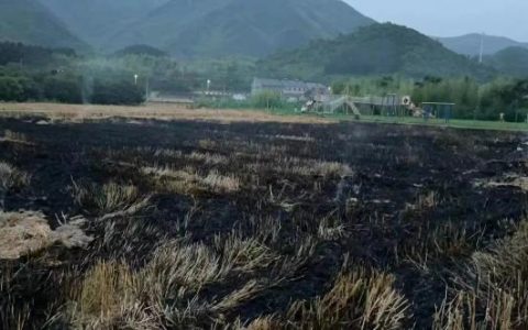 农民焚烧秸秆违法吗?依法对其处以1500元罚款